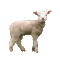 Benutzeravatar
