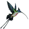 Benutzeravatar