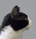 Benutzeravatar