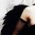 Benutzeravatar